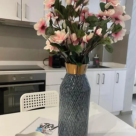 דירה Joy Zemun,beograd Zemun