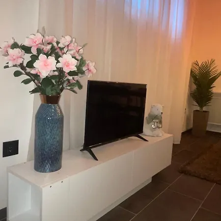 Joy Zemun,beograd דירה Zemun